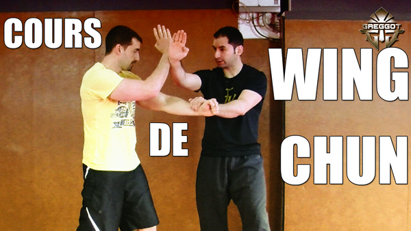 comment apprendre le kung fu seul