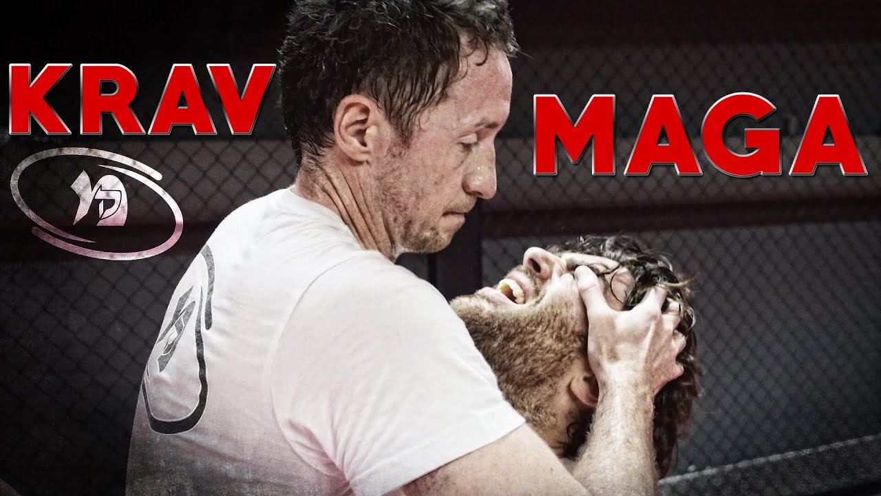 Cours de Krav Maga FEKM Paris Vanves