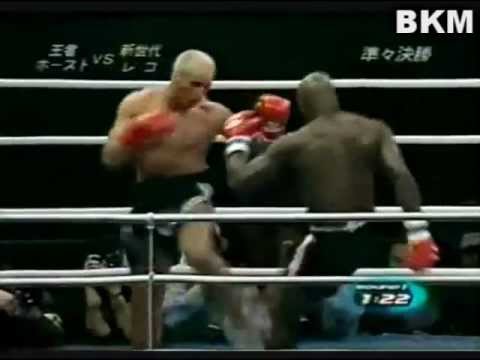 Ernesto Hoost Lowkicks Highlight