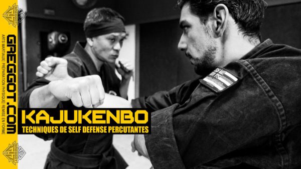 Cours-Kajukenbo-Paris-art-martial-self-defense