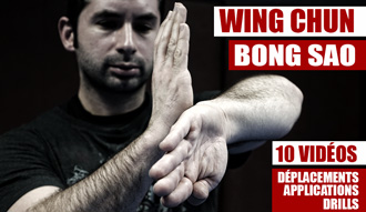Wing-Chun-Bong-Sao-Serie-Sidebar