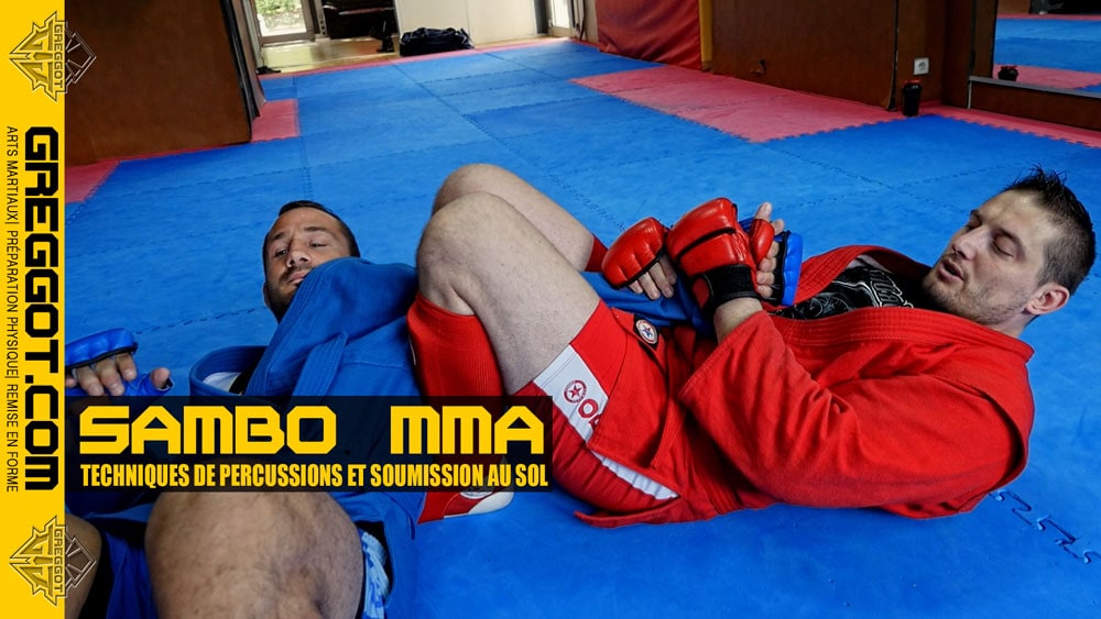 Cours-Sambo-Paris-Vanves