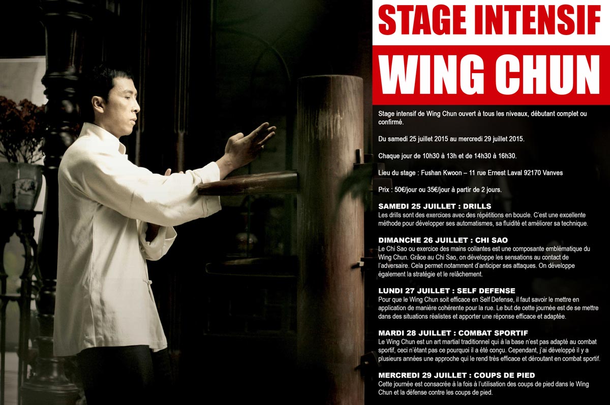 Affihe-Stage-Intensif-Wing-Chun-Kung-Fu