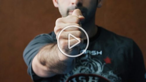 Vignette-Wing-Chun-Stage-Juin-2016-PLAY