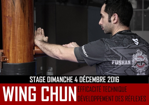 Stage Wing Chun Décembre 2016