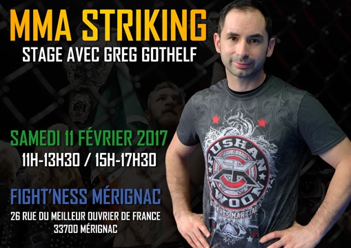 Stage-MMA-Striking-11-fevrier-2017-FightNess-Merignac-Website