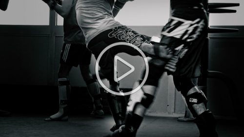 Vignette-Low-Kick-Expert-PLAY