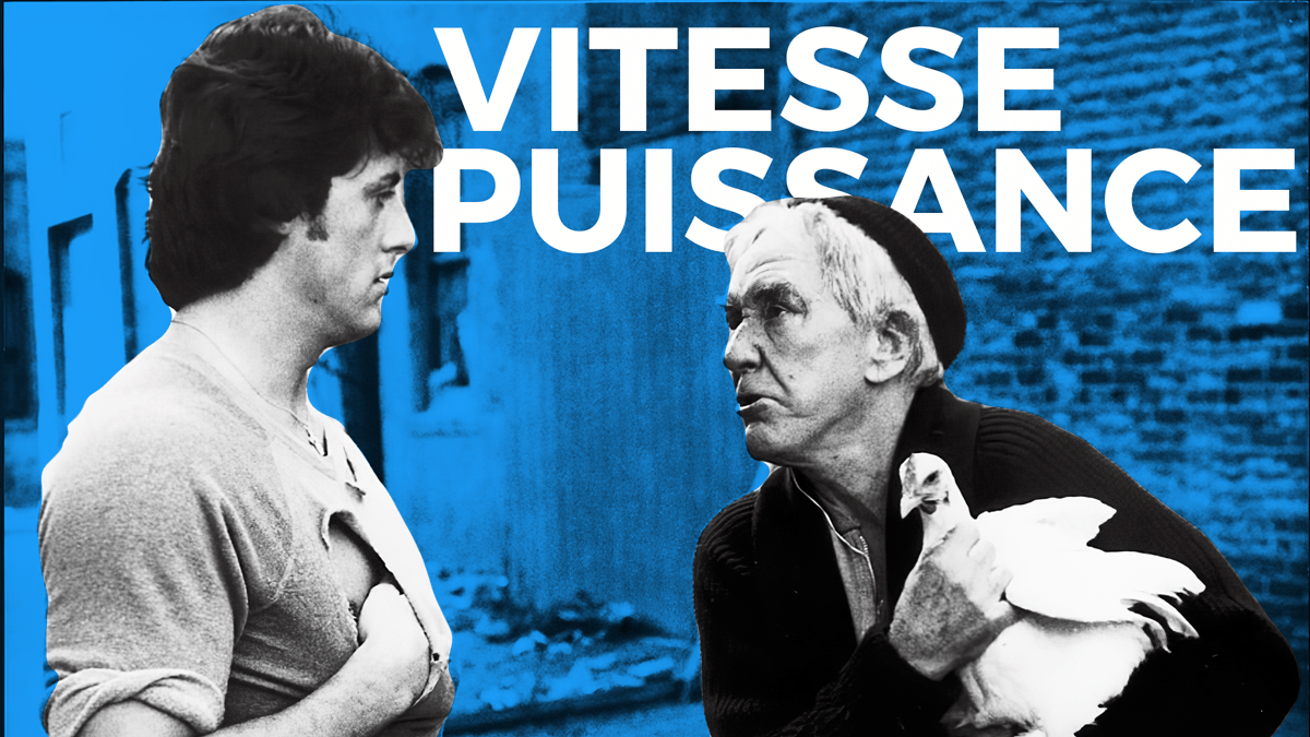 Rocky-Mickey-Coq-puissance-vitesse-article-greggot