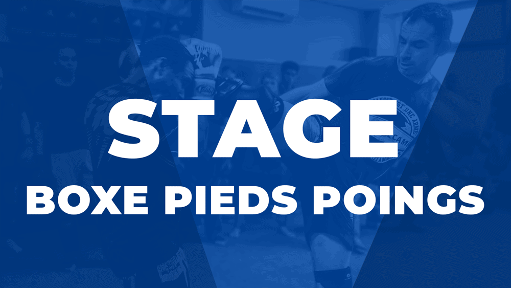 Stage de Boxe Pieds Poings avec Greggot 8 mars 2020