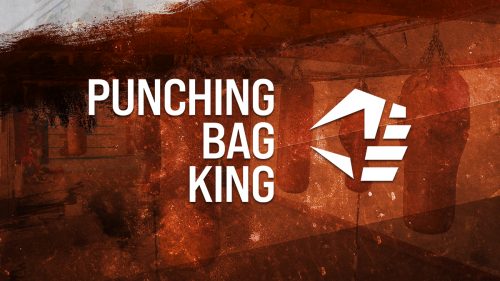 Programme Punching Bag King