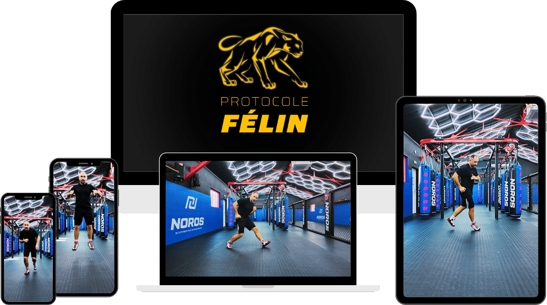 Protocole Félin Appuis Légers par Greggot