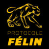 Protocole Félin
