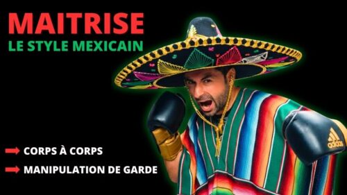 Stage de Boxe Anglaise - 8 mars 2026 à Bègles | Système Mexicain